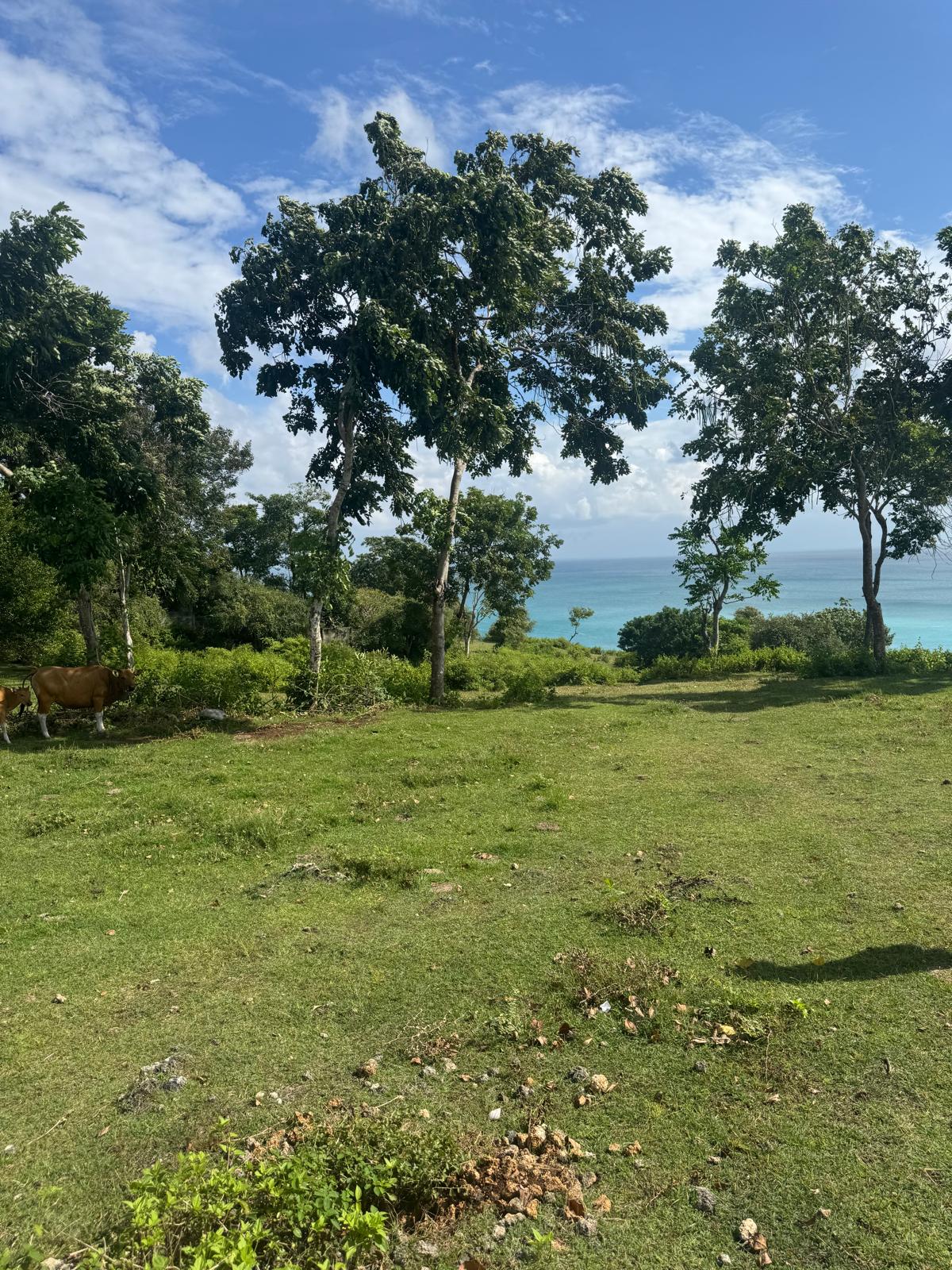1 hectare cliff front Dreamland land freehold