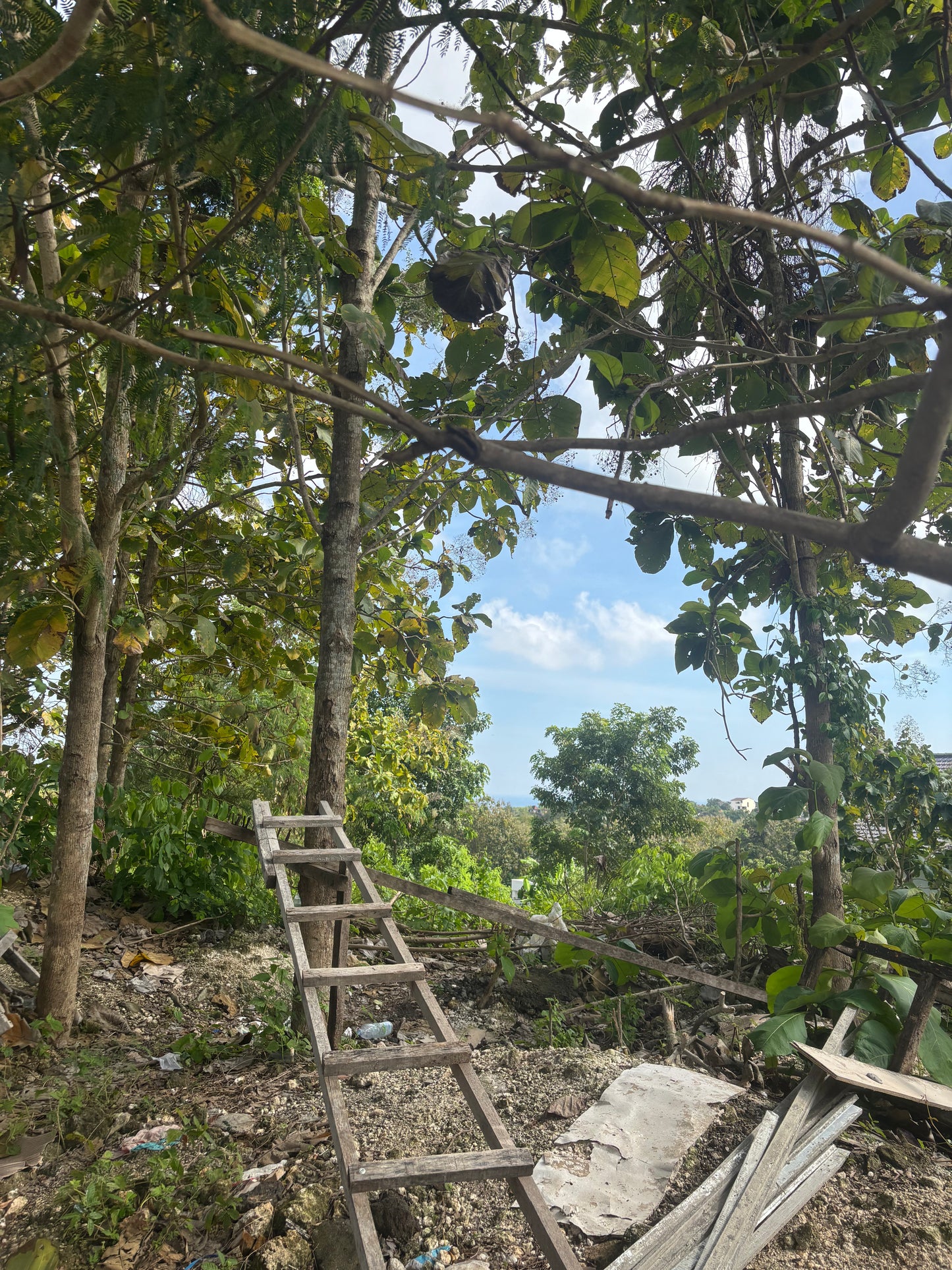 28 are Prime land in Freehold in Bingin