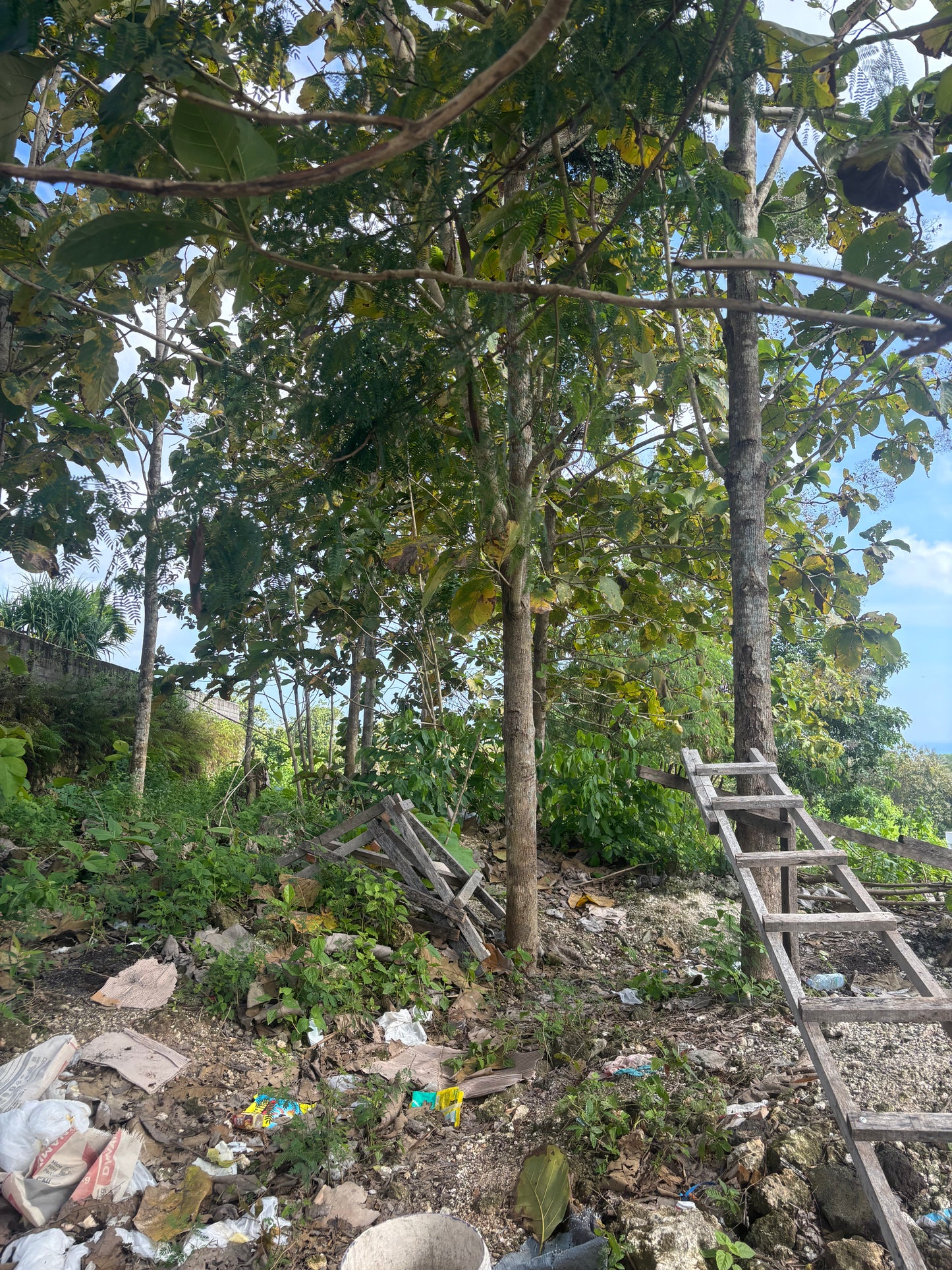 28 are Prime land in Freehold in Bingin