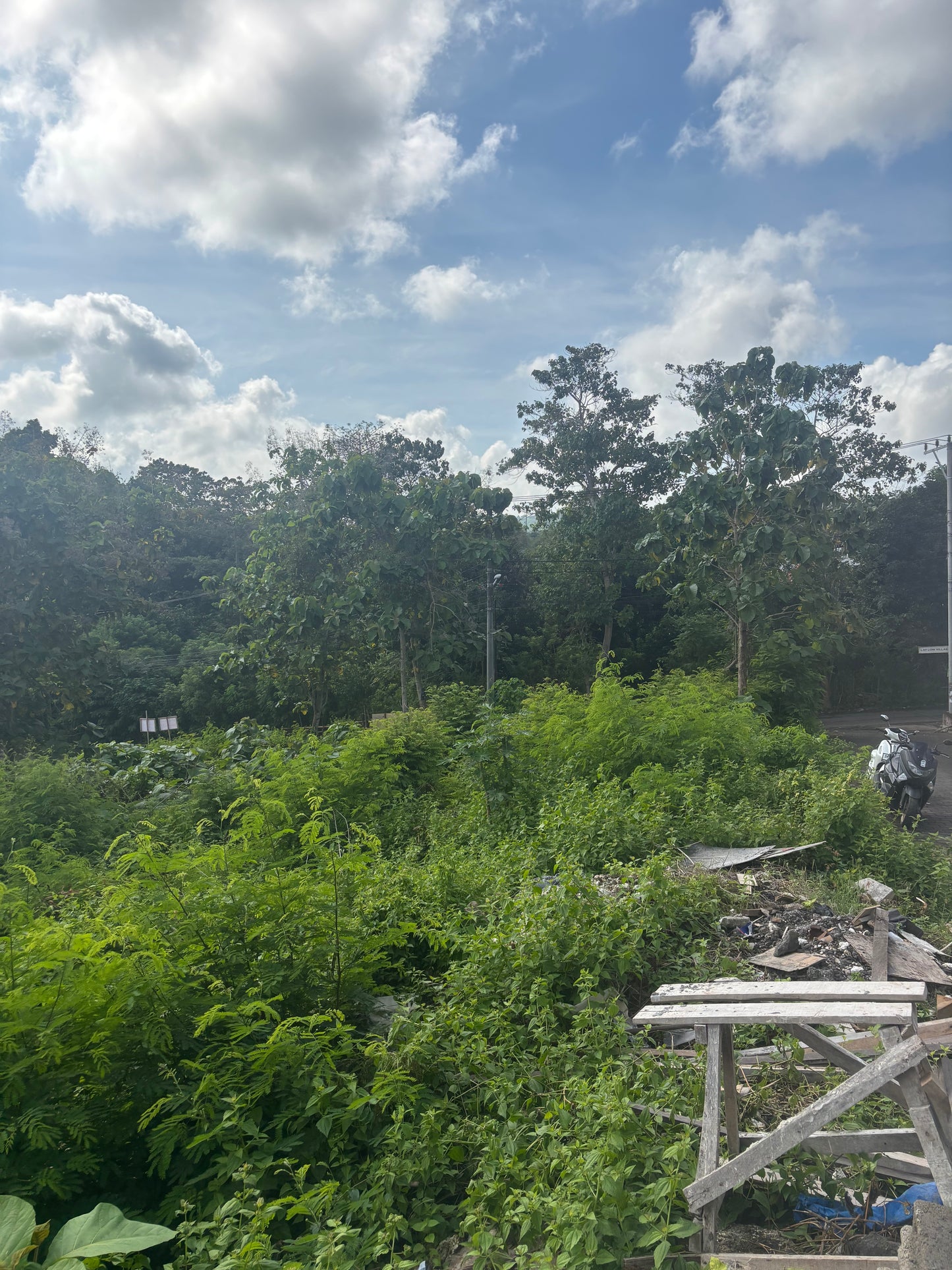 28 are Prime land in Freehold in Bingin