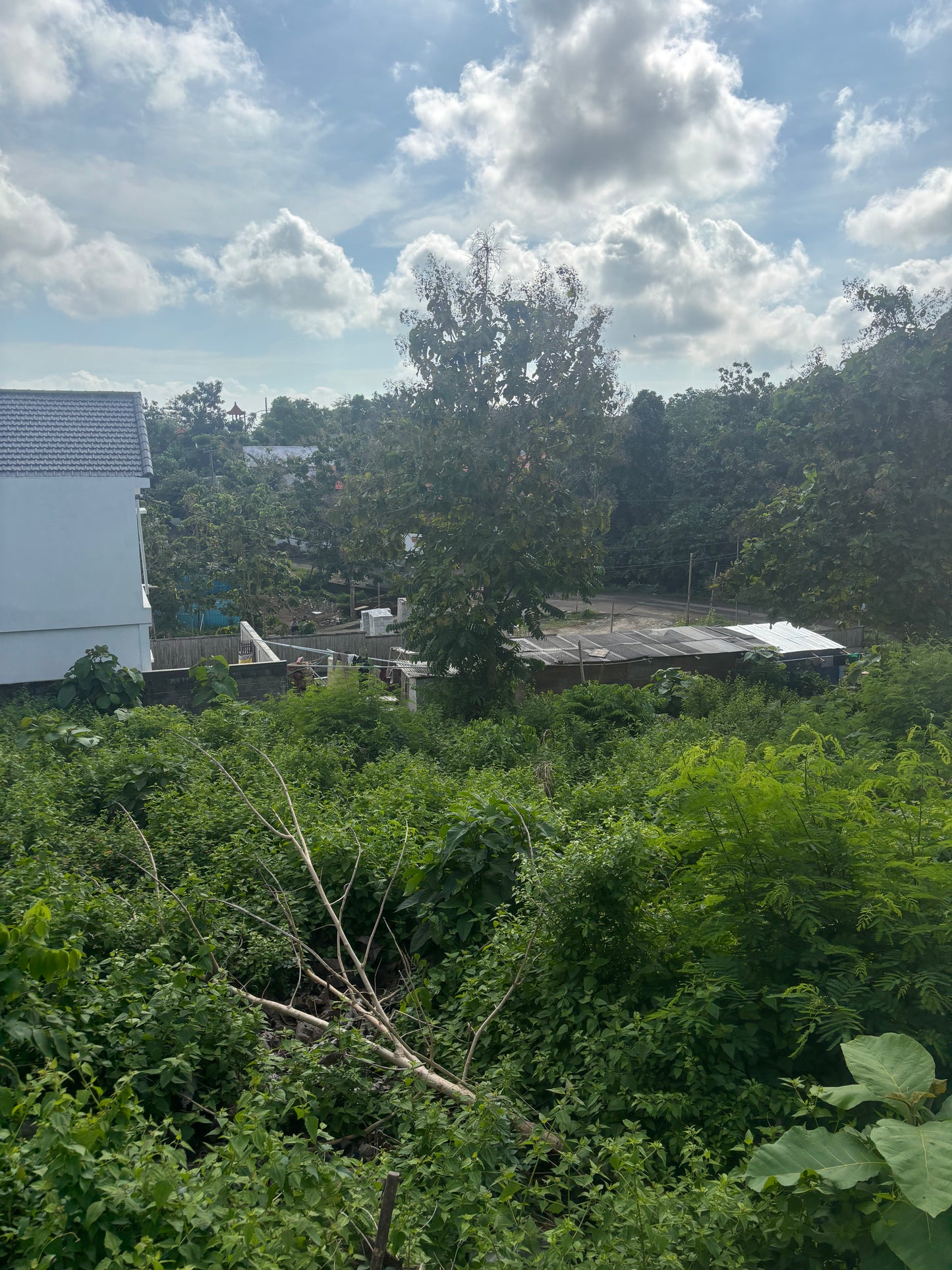 28 are Prime land in Freehold in Bingin