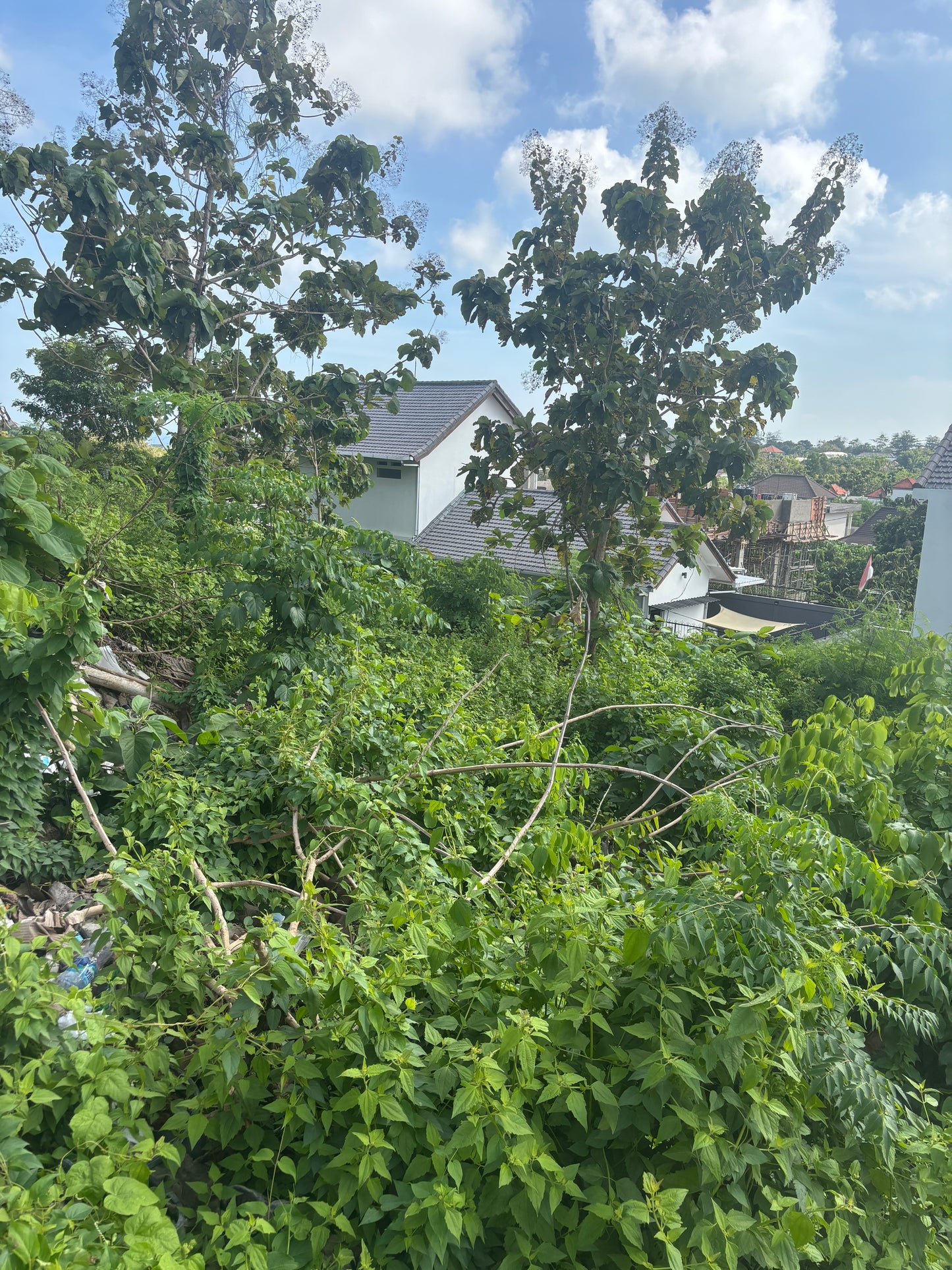 28 are Prime land in Freehold in Bingin