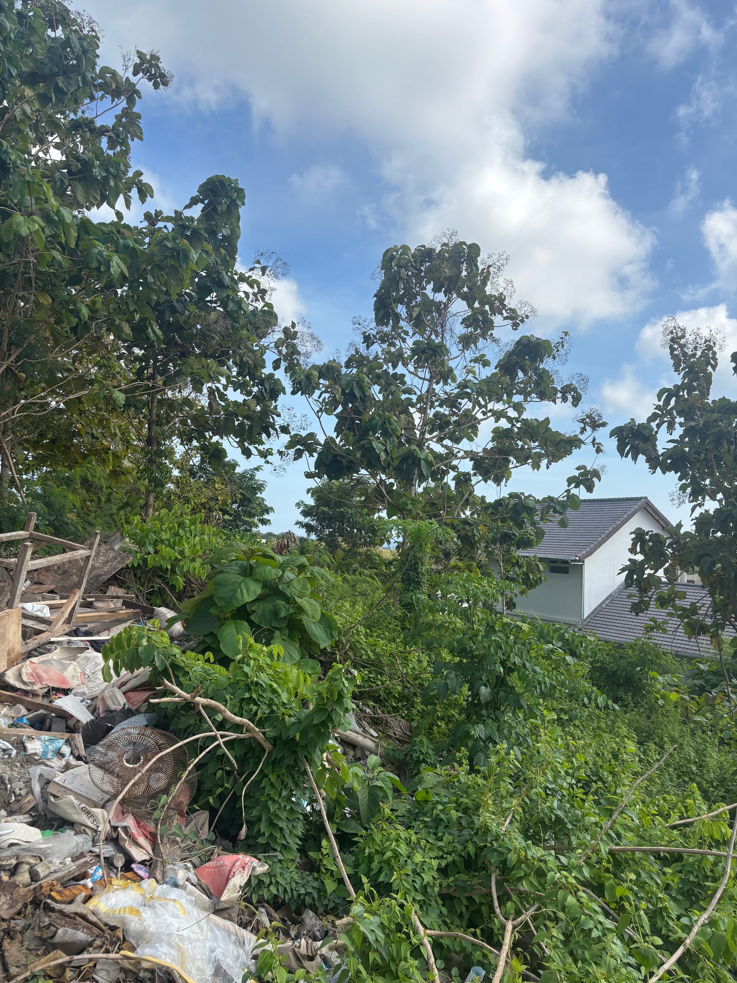 28 are Prime land in Freehold in Bingin