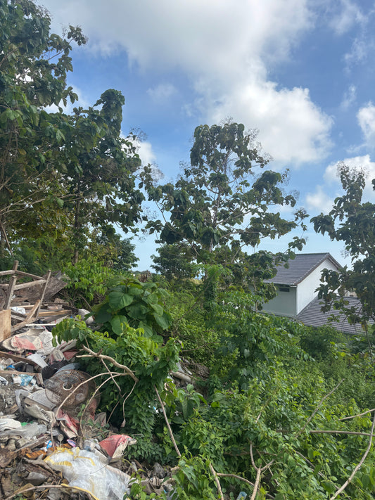 28 are Prime land in Freehold in Bingin