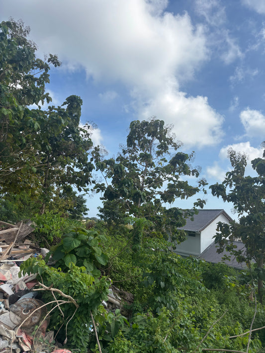 28 are Prime land in Freehold in Bingin