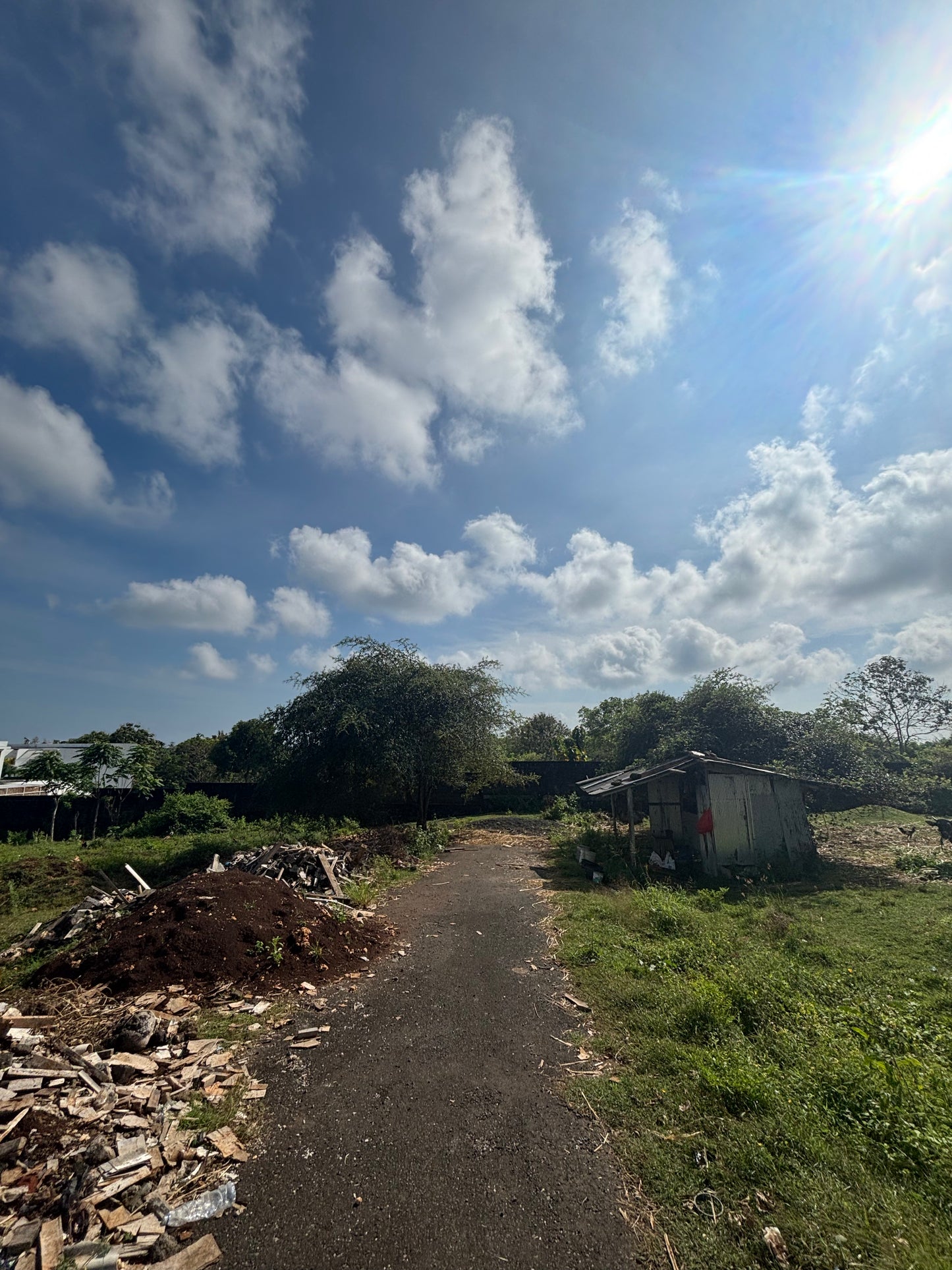 29 are Leasehold in upper Bingin