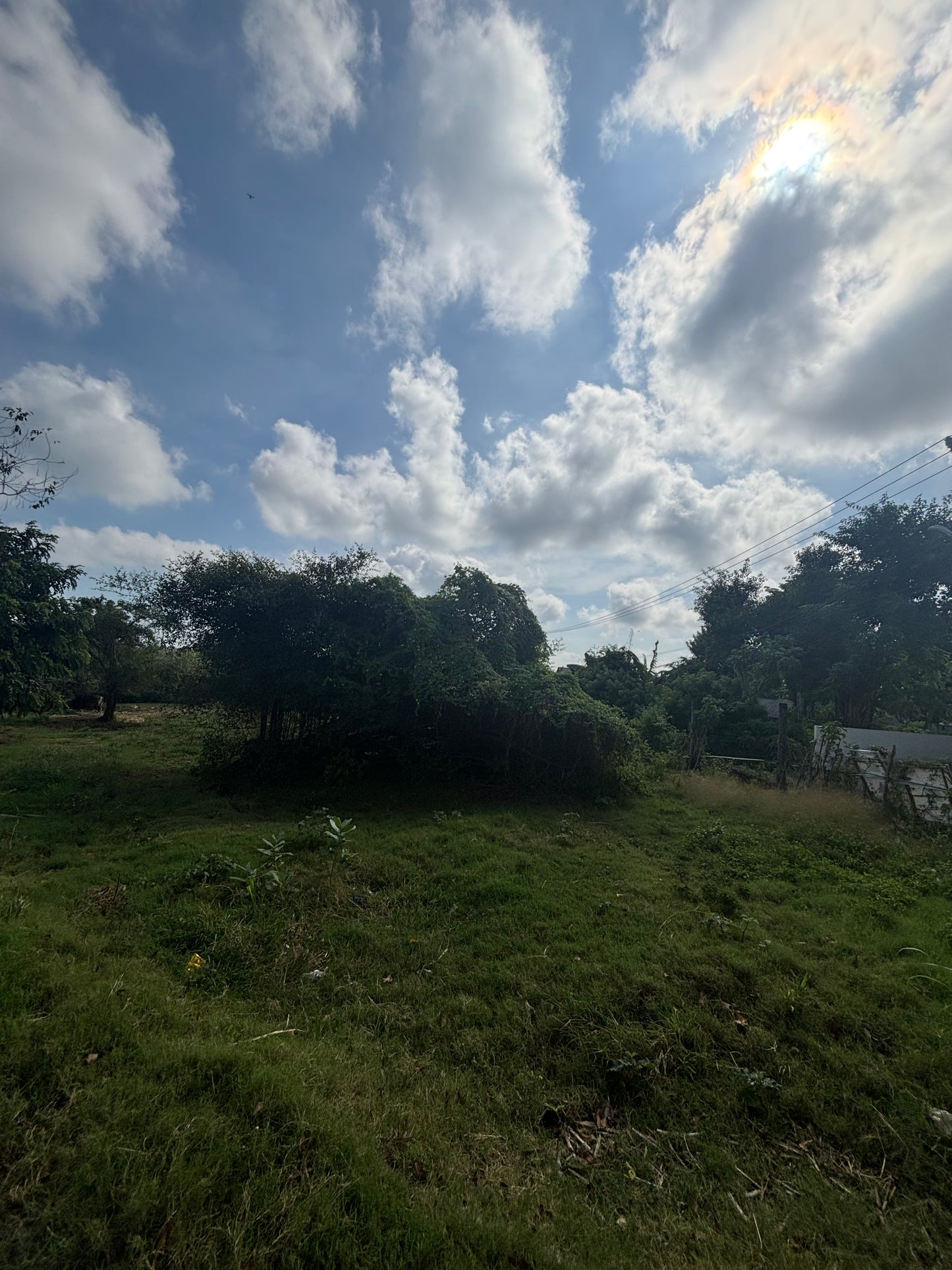 29 are Leasehold in upper Bingin