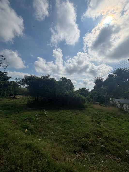 29 are Leasehold in upper Bingin