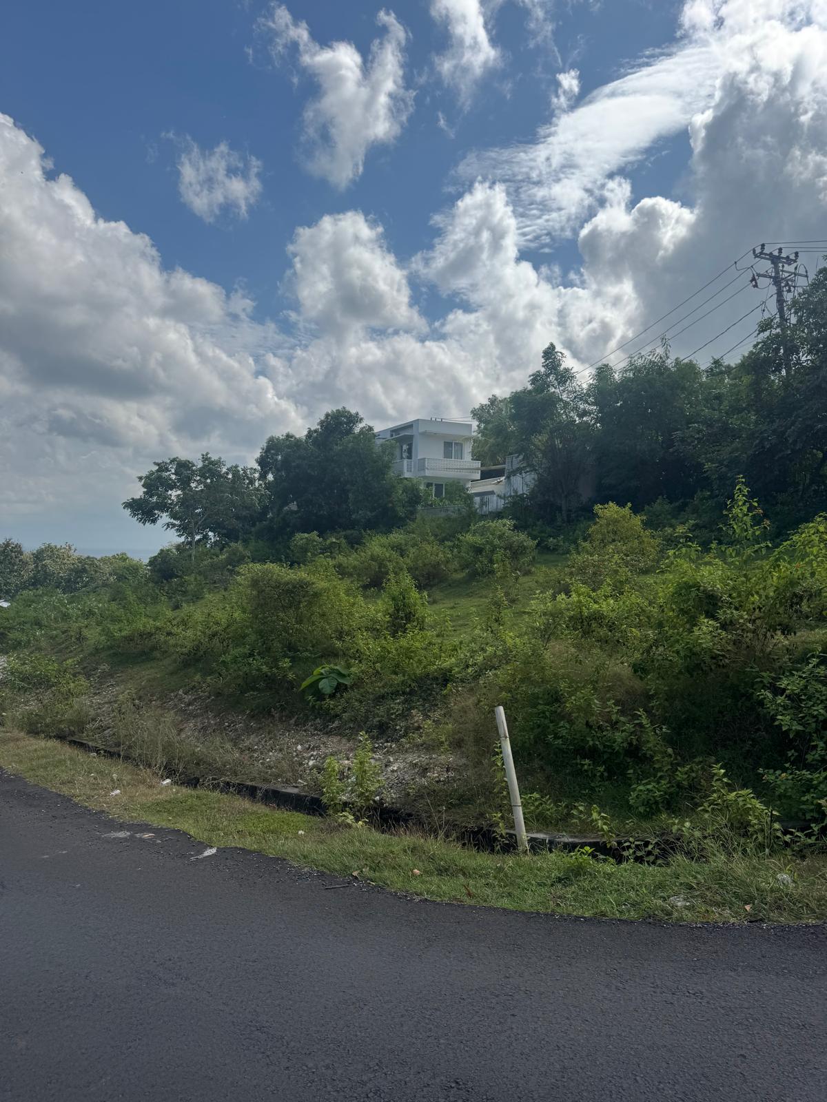 16 are Dreamland leasehold land