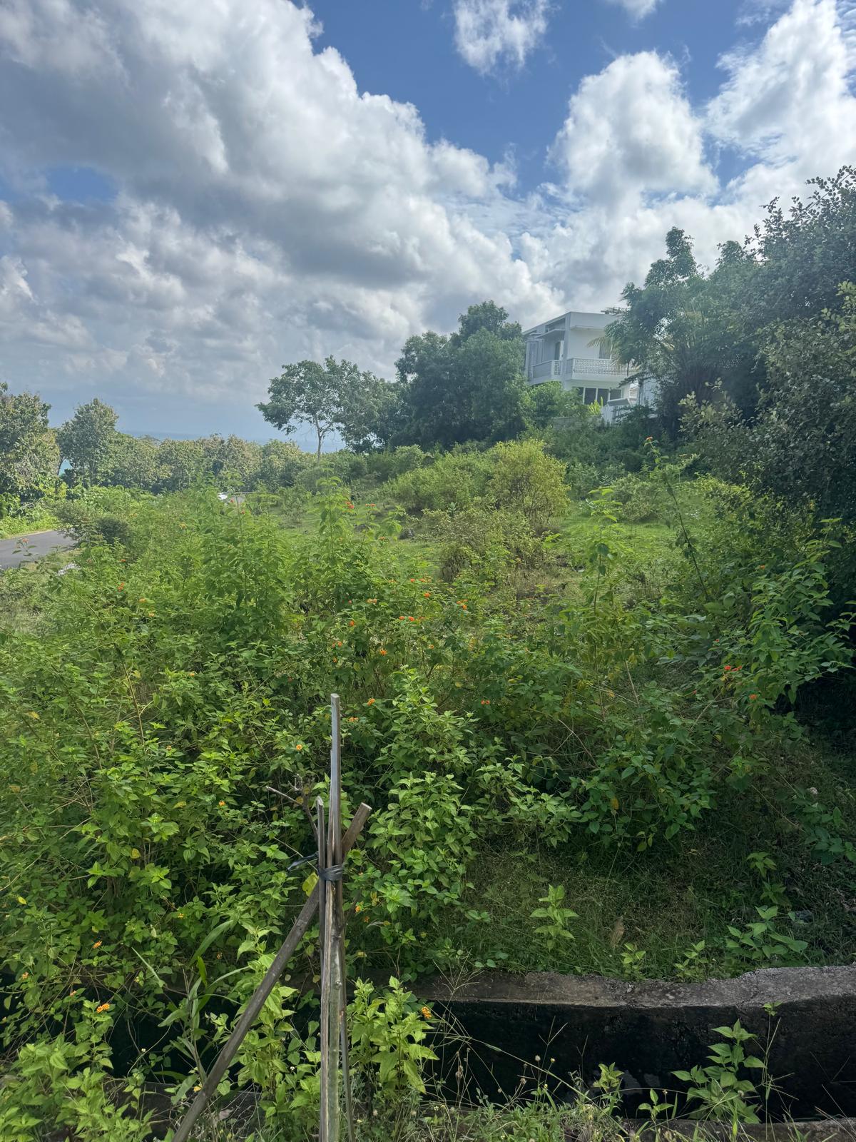 16 are Dreamland leasehold land