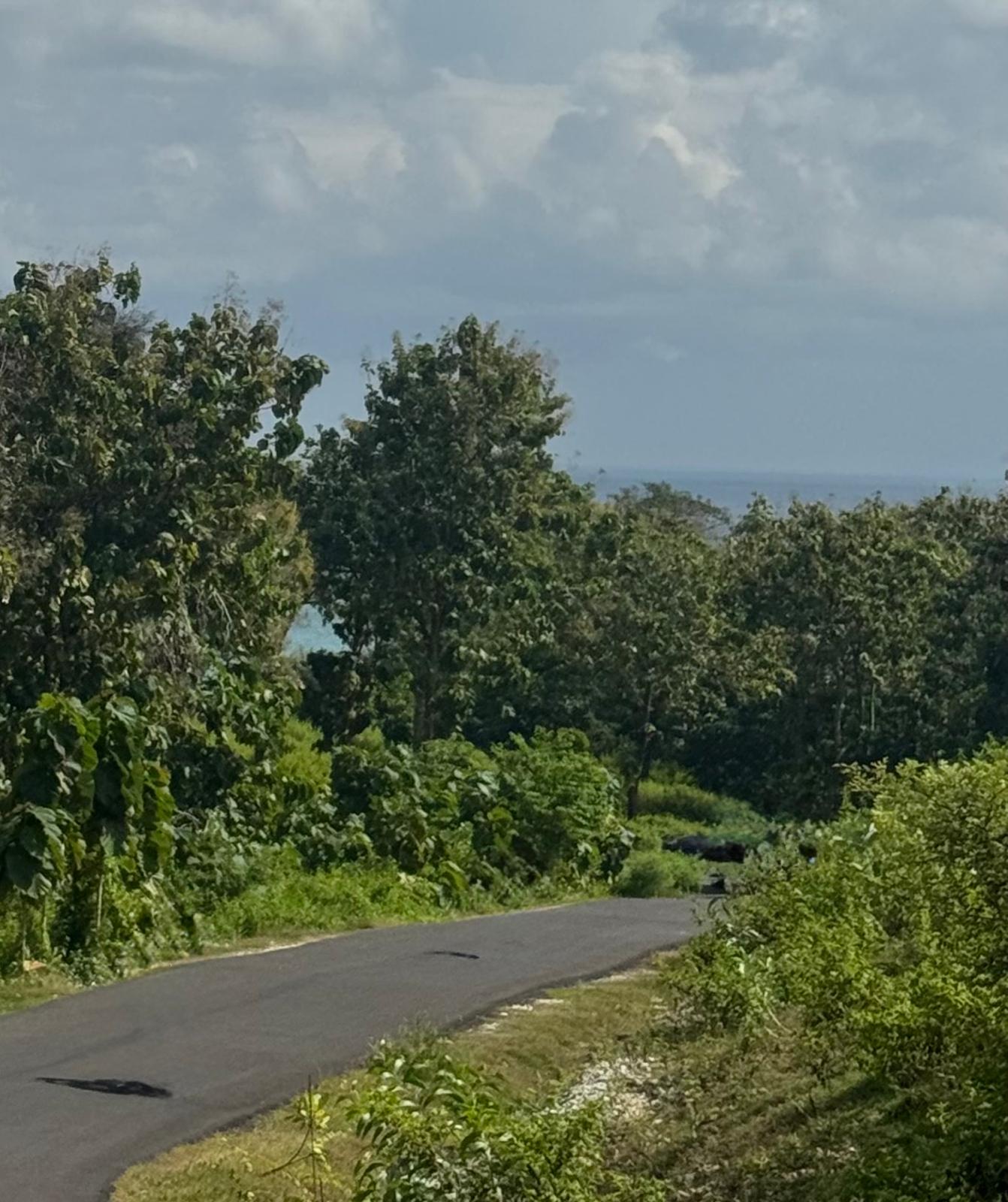 16 are Dreamland leasehold land