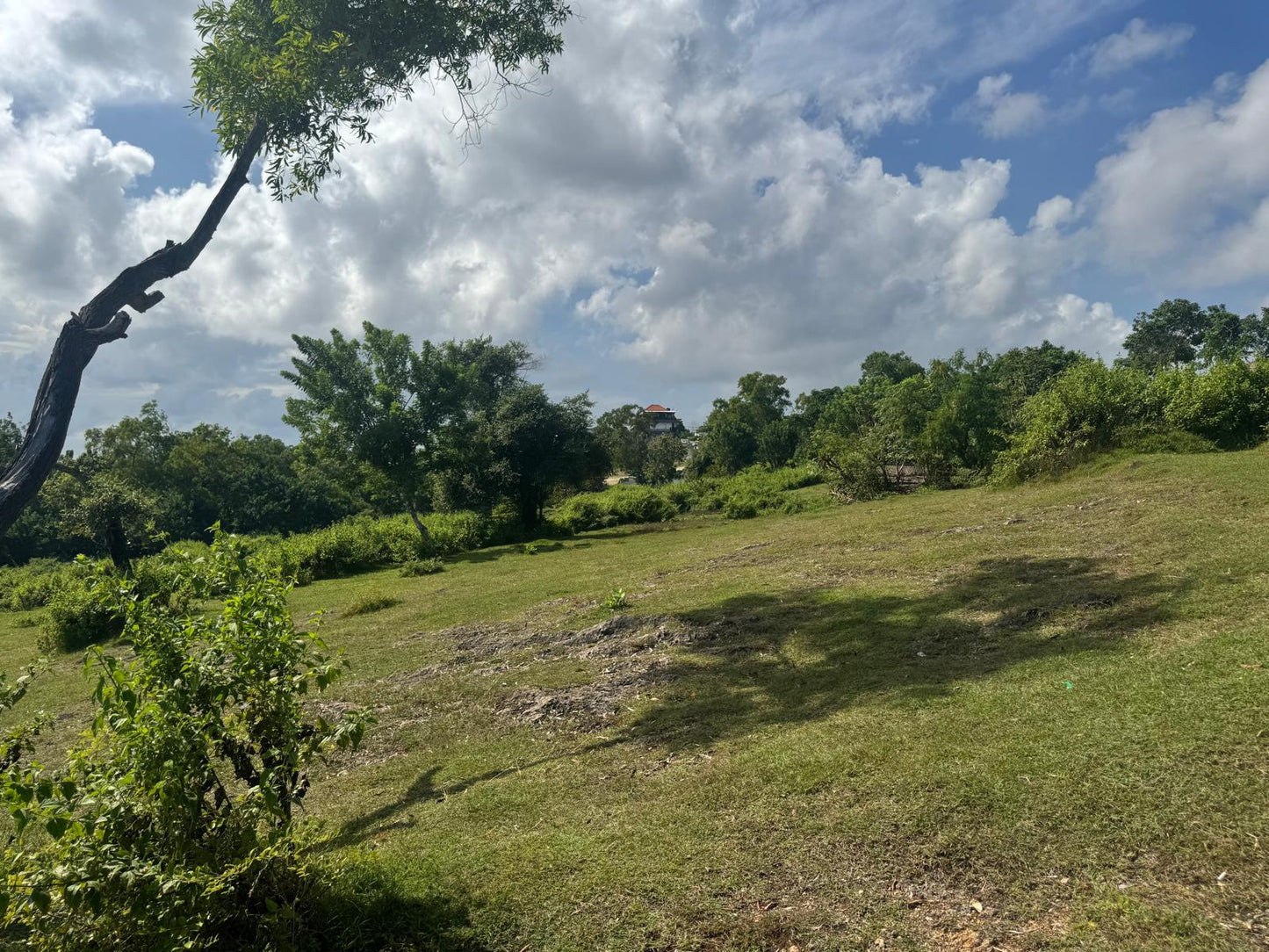 1 hectare cliff front Dreamland land freehold