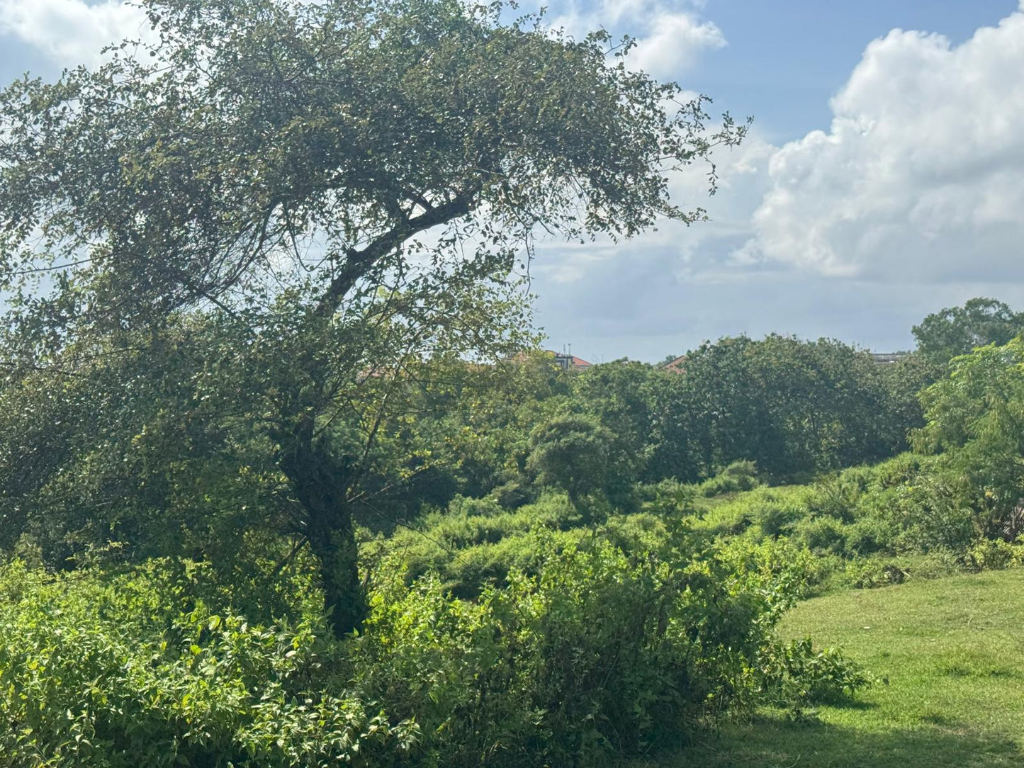 1 hectare cliff front Dreamland land freehold