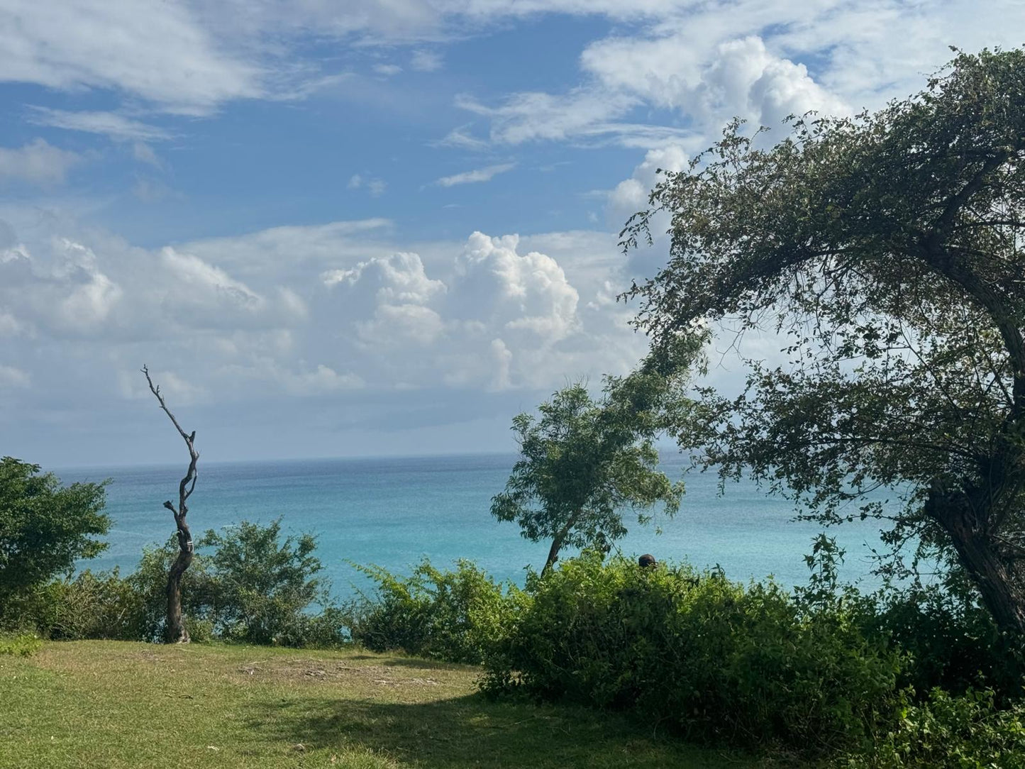 1 hectare cliff front Dreamland land freehold