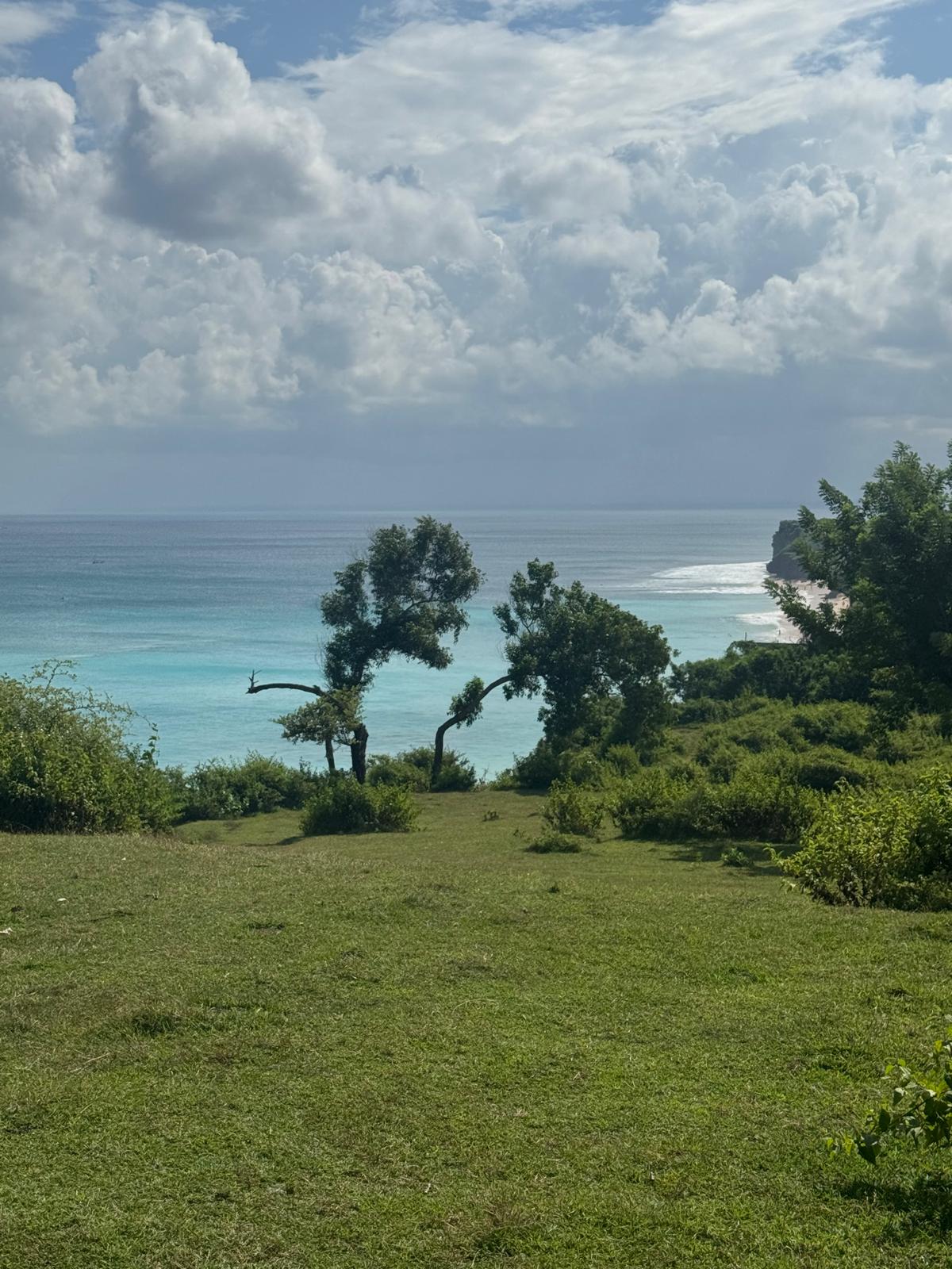 1 hectare cliff front Dreamland land freehold