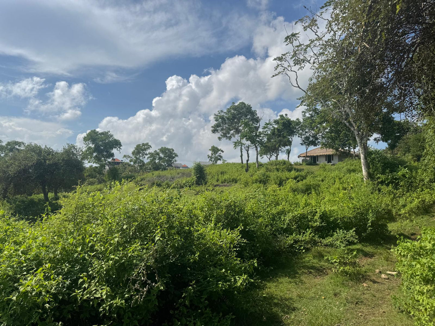 1 hectare cliff front Dreamland land freehold