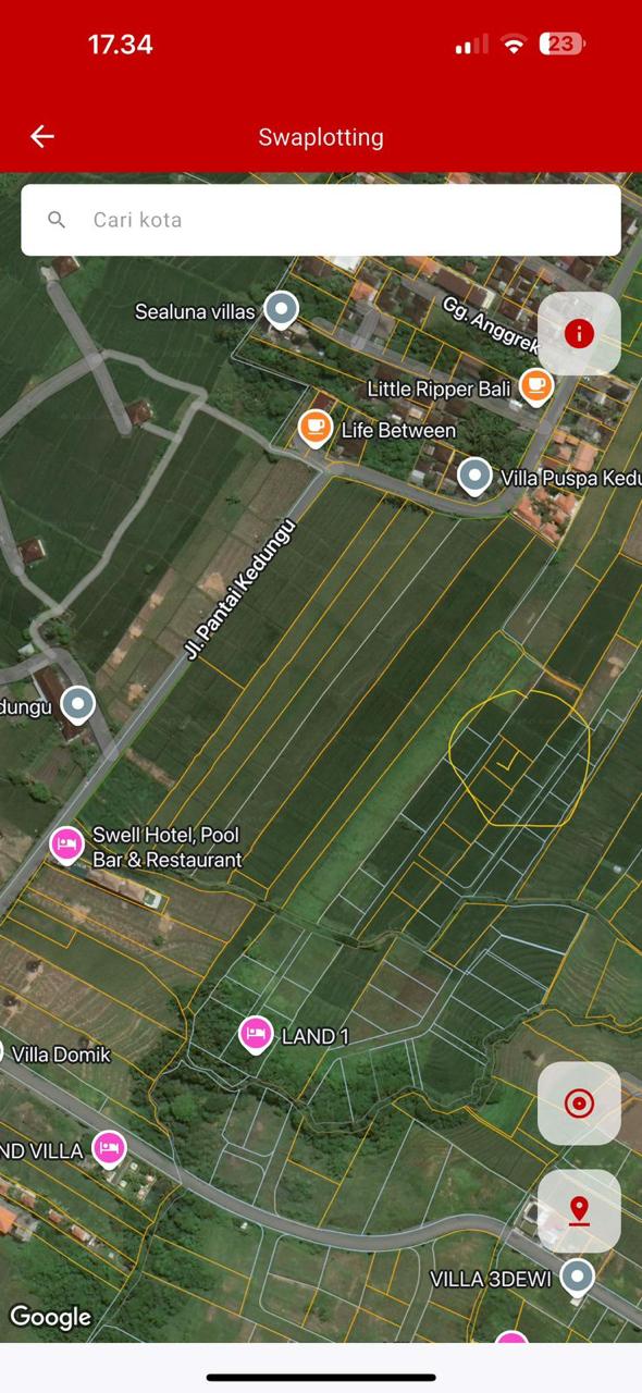 3,55 are in Kedungu Freehold