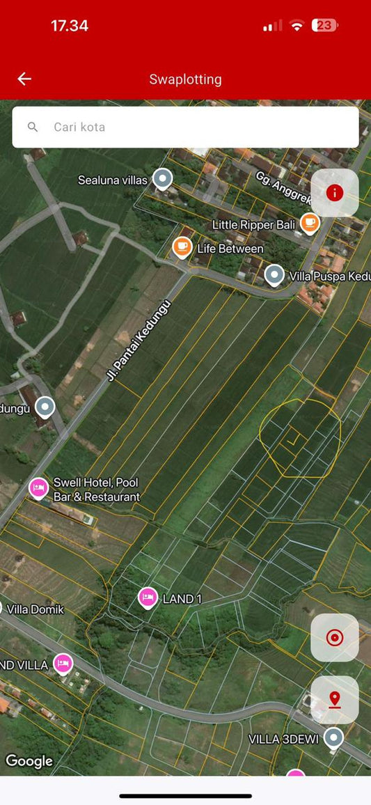 3,55 are in Kedungu Freehold